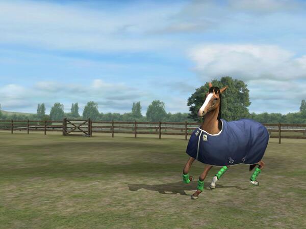 sissykonrad's tweet photo. Check out my photo! Add me, SissyKonnie. #MyHorse http://t.co/WEGZZmycrp http://t.co/fyeN9dZ3aI