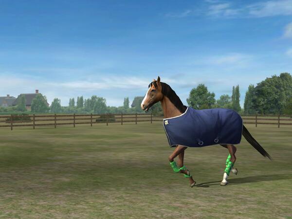 sissykonrad's tweet photo. Check out my photo! Add me, SissyKonnie. #MyHorse http://t.co/WEGZZmycrp http://t.co/sQwo5FNBhd