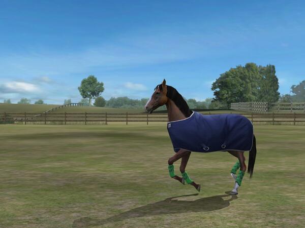 sissykonrad's tweet photo. Check out my photo! Add me, SissyKonnie. #MyHorse http://t.co/WEGZZmycrp http://t.co/W43EENL9Cd