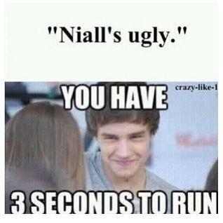 Direction1D_guy's tweet image. Bitch, ill cut you !! @NiallOfficial is beautimus!!!
