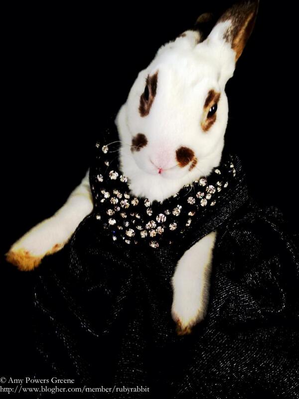 TheRealistRuby's tweet photo. Hello, Dahlings! Xoxo, Countess Ruby http://t.co/C9x72uNZbd