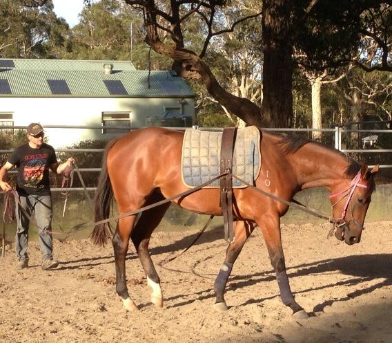 Richie Butler (@richiebutler80) on Twitter photo 