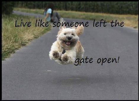 jennamcbreen's tweet photo. Thought for the day: #lifelessons http://t.co/UCxXrFvLKi