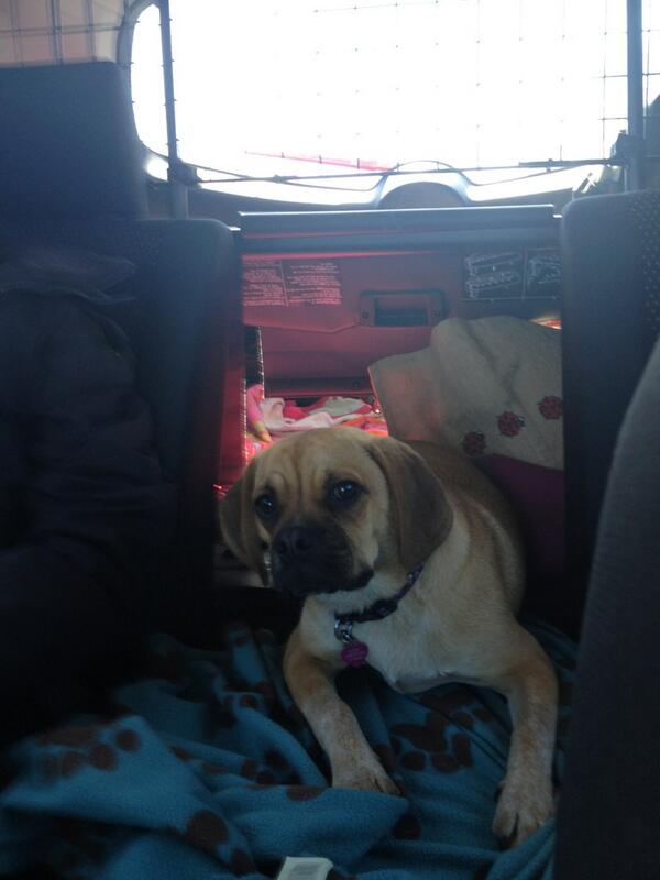 Rubypuggle tweet picture