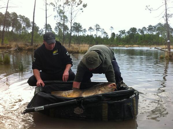 Really great week with Cola Rob !
3 fish on last night with him, thanks mate ;-) 
We continue !!