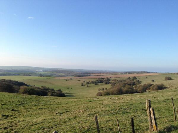 roachdesign's tweet image. Ditching 7:00 am