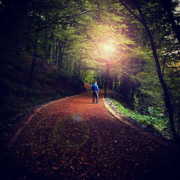 Guiduz83's tweet image. #benimrenklerim #filliboya 📷 by mustafaseven