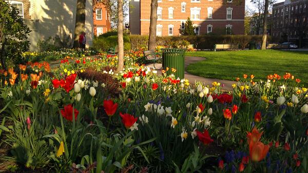coolcorn's tweet image. beautiful flowers in front of Sussman House