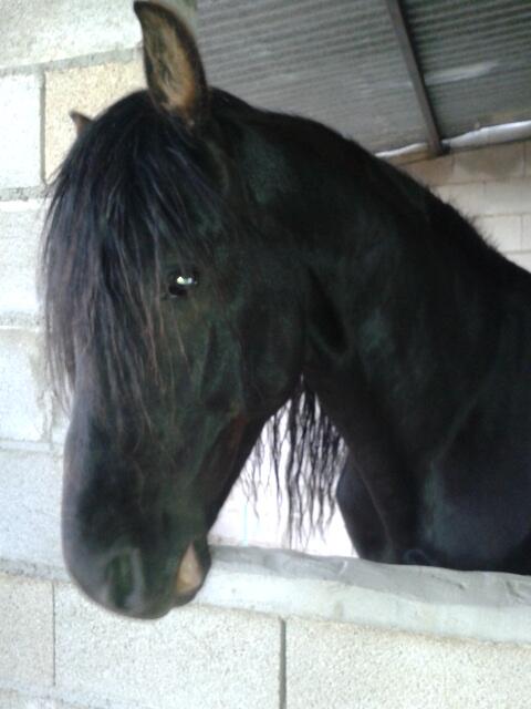Isabel_PeCa's tweet photo. Que bonico es!!! ;) http://t.co/ETJvJxcyAZ