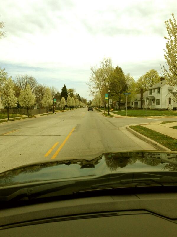 TimJcuthbert's tweet photo. Blooming trees makes for a beautiful drive on west sycamore. Thanks @GregGoodnight for all you do for our town! http://t.co/cVrDYeSpiG