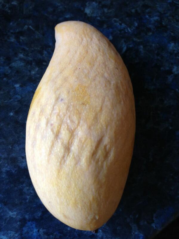 TheAxeAttack's tweet image. @whiasco great went to the markets this morning and got heaps of fresh veges and also this #ThaiMango How are you?