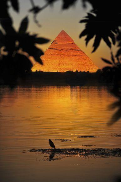 ThisIsEgypt_'s tweet photo. Sunset Over The Egyptian Pyramids. Giza, Egypt
  las piramides egipcias :) http://t.co/J67HB5X0u2