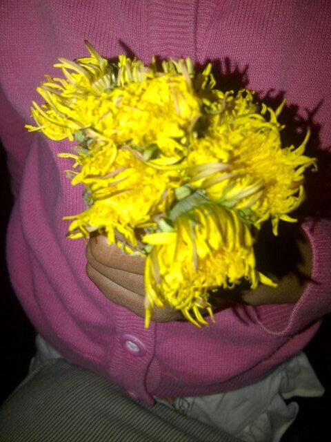 ThatAmatullah's tweet photo. My Little Flower went to the park and bought me back some flowers. I love her so much, it burns. ♡‎ http://t.co/28KlZ76ey1