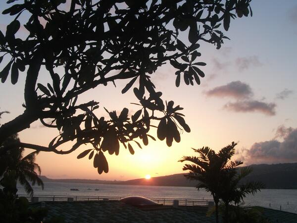 StephanieRFama's tweet image. @kiliohu1 @MrsdogC @DogBountyHunter Not as good as urs Kili ! lol #wednesdays #Late #Samesunset