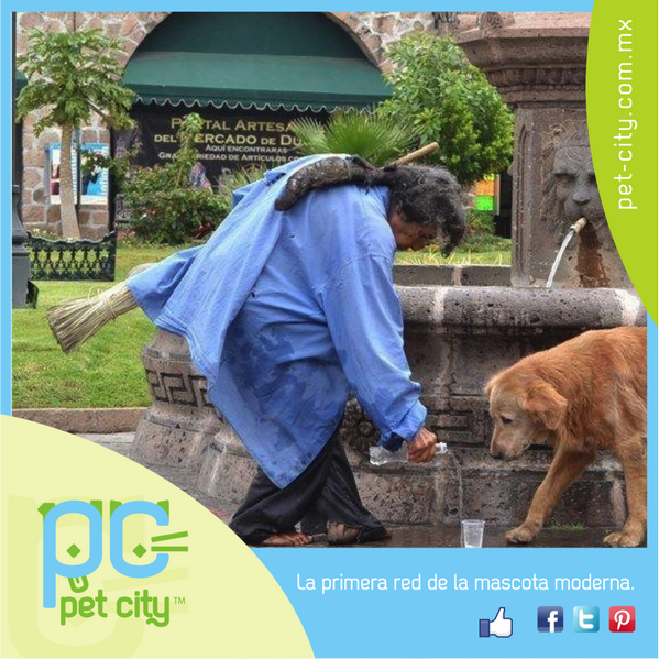 PetCityHotelSpa's tweet photo. La bondad no tiene limites, es un acto que enlaza a la sociedad. http://t.co/e74gJHHY0U