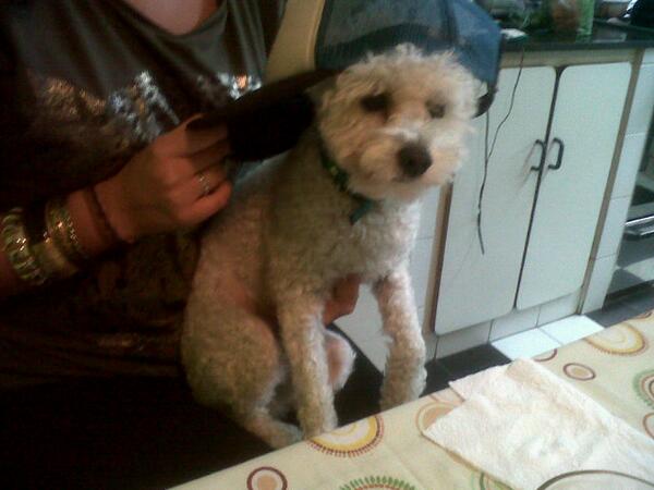 cuquidenna's tweet image. @sofidelgadoo