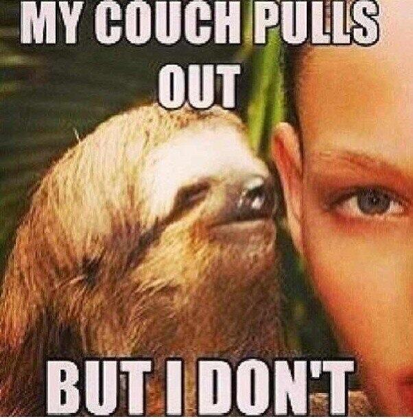 Sloth Memes On Twitter My Couch Pulls Out Rt Http T Co