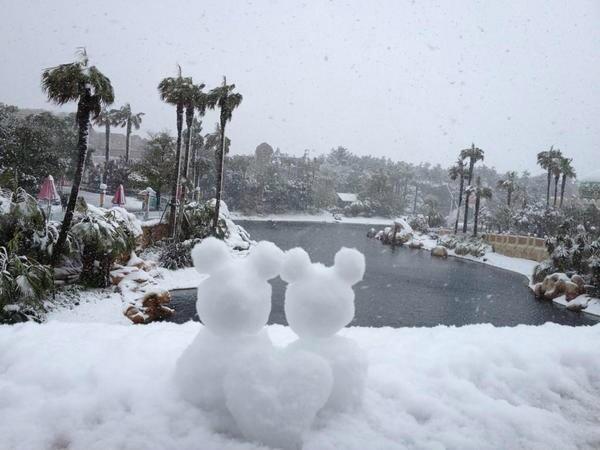 大雪の時しか会えない隠れミッキー♡