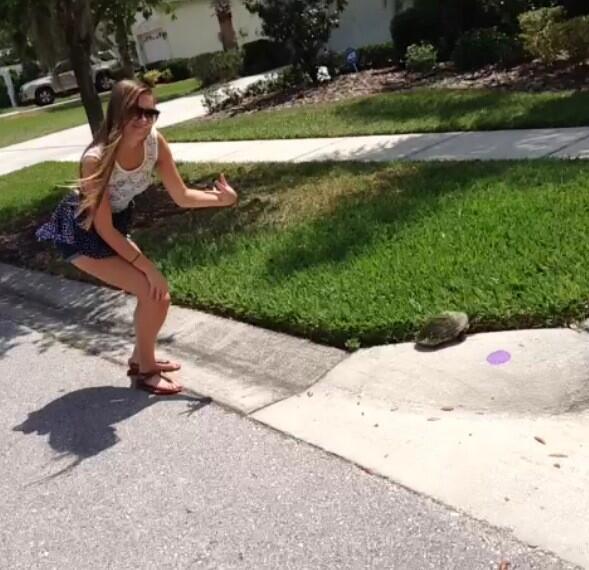 HeyyHayyley's tweet image. My new friend #FranklinTheTurtle