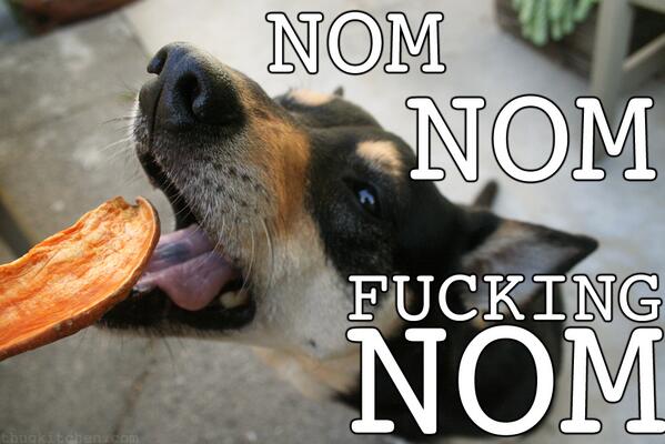 badmannersfood's tweet photo. Homemade treats make my dog happy as fuck #Nom #ThugKitchen http://t.co/1k9TTYJb6m