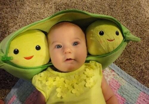 Télécharger gratuitement Images Petit Pois Petitpois Vert Twitter dernière par