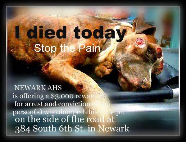 DAYLEE's tweet image. REWARD FOR INFO!  #DOGFIGHTERS WHO KILLED #GIDEON #REWARD $3K+