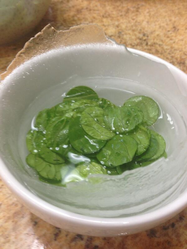 alvclv's tweet photo. Lechuga http://t.co/LLXM6eLflk