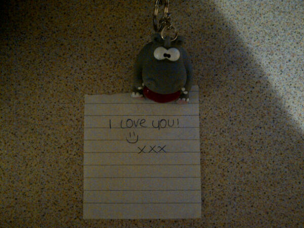 _AlexTaylor94's tweet image. @demi_pendle Come home to this...#loveher #newkeyring