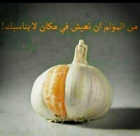 4123Omeer911's tweet photo. حقيقه http://t.co/iSbjF2jYTp