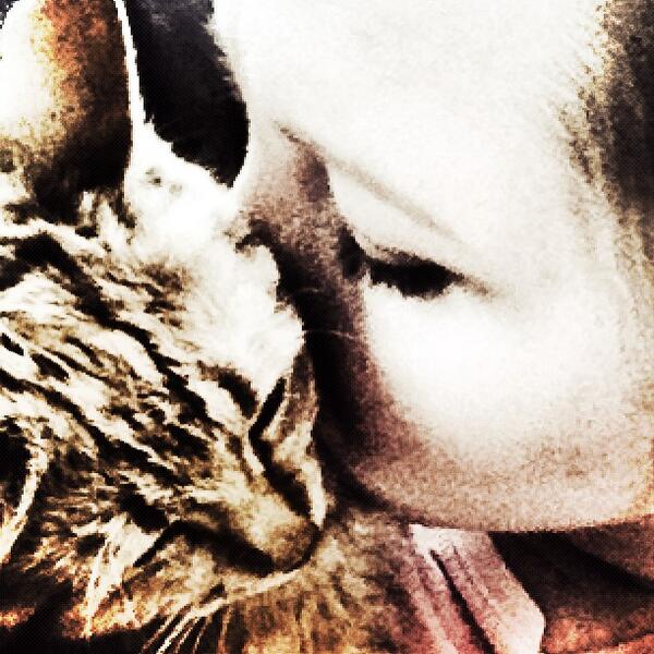 DrebitAmanda's tweet photo. Gary snuggles!!! #luvukitty http://t.co/8xueTfTYTH