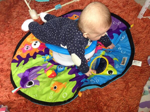 cat2190's tweet photo. Tummy time! @keely_denton http://t.co/jwWkuw0lqZ