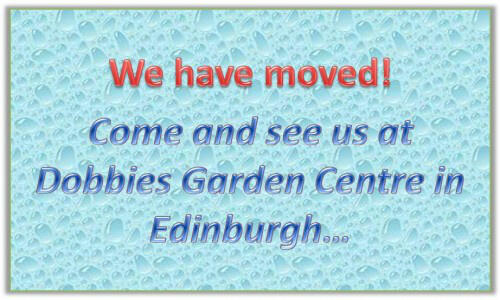 HotSpringCentra's tweet image. We have moved