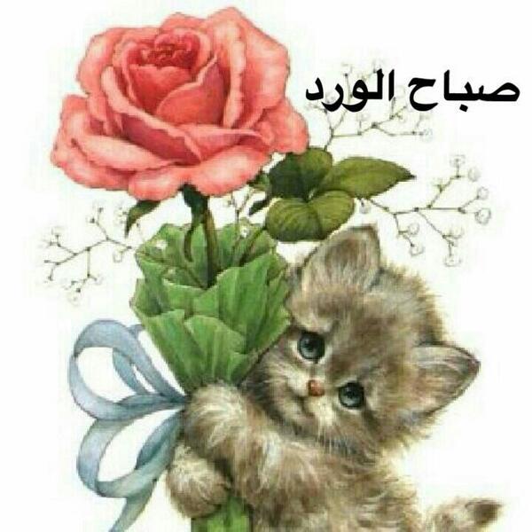 meedo186's tweet photo. @asl_501 
صباح النور http://t.co/cIPBA2FCZh