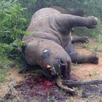 Hoe lank gaan dit nog aanhou? <a href="/landbou/">landbou.com</a> <a href="/BakkiesBotha4/">Bakkies Botha</a> <a href="/deangreyling/">Dean</a> <a href="/flipvandermerwe/">Flip van der merwe</a>