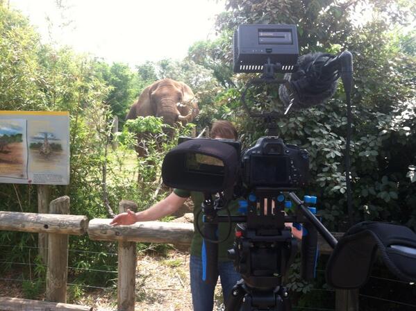 fishging's tweet image. Love working with great talent. #bfatthemovies13