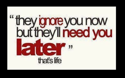 AdelElsayed155 tweet picture