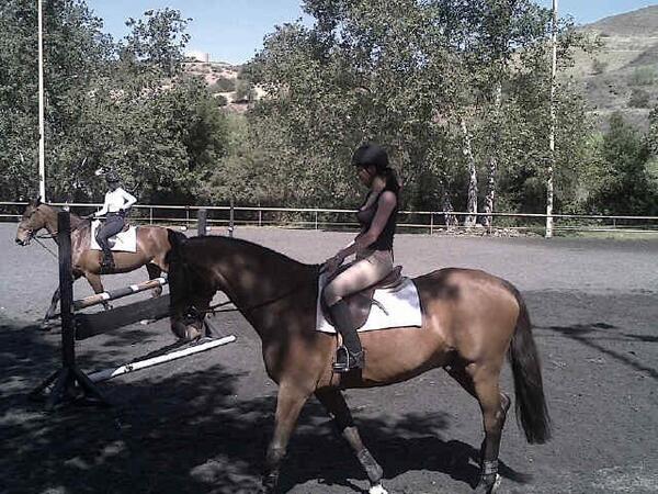 FindAPony's tweet image. Would like to congratulate hannah Paul back in the saddle in LA with nick Skelton and Laura crout!