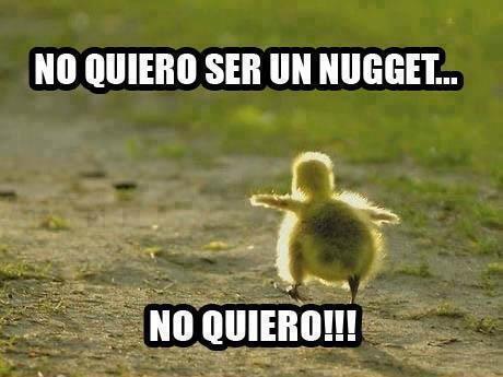reuth_90's tweet photo. “@MejoresTwits: —Venga pollito, ven aquí, no seas tonto.   — http://t.co/8awYGpPFx6” @AliBort90 😂