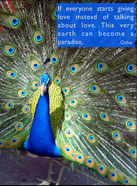 OSHO's tweet photo. "If everyone starts giving love instead of talking about love.
This very earth can become a paradise." Osho http://t.co/b6VU2xL5Fp