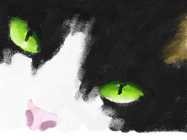 oshibana_i's tweet image. しおさんちのグーちゃん。クレヨンアプリで描いてみた。 #CrayonStyle