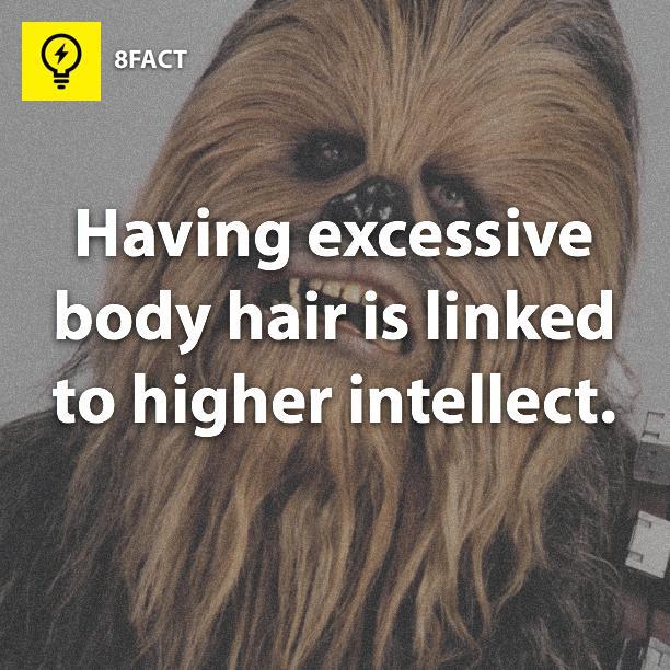 8FACT on Twitter: 8FACT on Twitter: