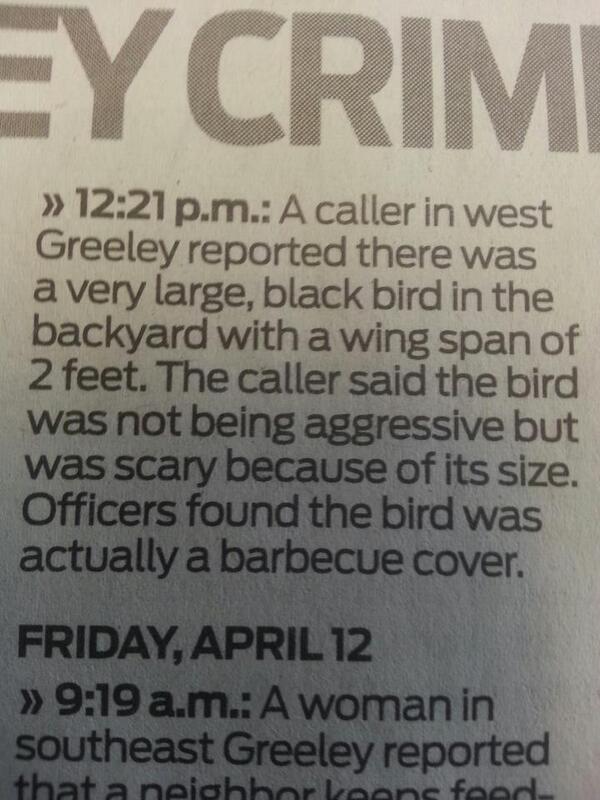 ThePoke's tweet image. Local news story of the day