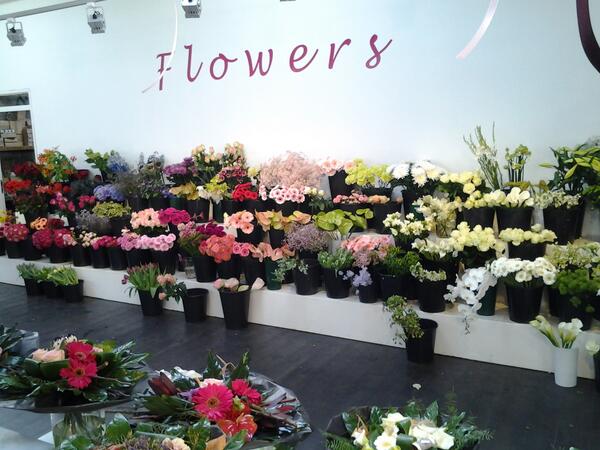ValentionF's tweet image. Winkel weer vol en vers!! Ruim 104 diverse soorten bloemen!!! Nieuweweg 100 @VeenendaalNL #veenendaal