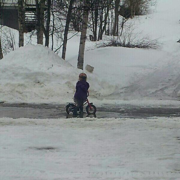 ASjoeli's tweet image. Ei venninne knipset dette fantastiske bildet av en ukuelig lykkelig prinsesse - på støttehjul. Nå er det vår! :-)