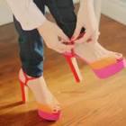 nooralgumar's tweet image. 