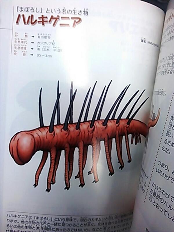 よしかず 𝚒𝚗 𝚍𝚊原稿 على تويتر Techi 10 硬質な陰毛だね 絶対これ痛い