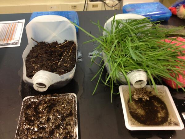 TeachAgBmore's tweet photo. Learning all about #erosion today!! AFNR 4.1.3 @case4learning #plantsmatter http://t.co/mTaxhbVjDX