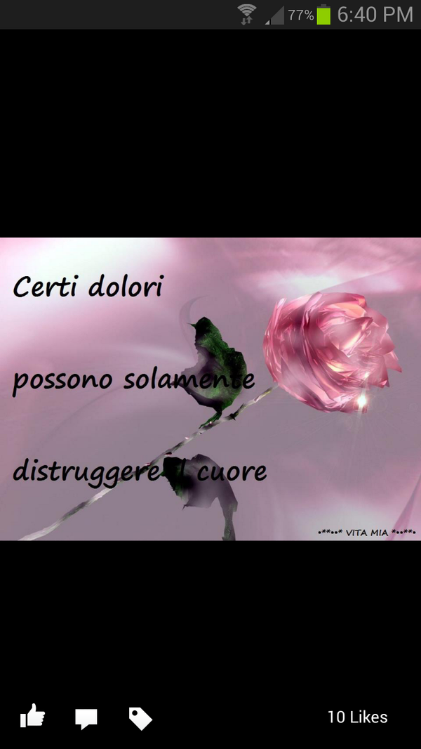 AdelElsayed155 tweet picture