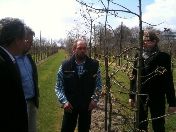 GerritOphof's tweet photo. Uiteraard in boomgaard v Fruitboerderij De West. Komen begin juni terug voor zelfpluk kersen. Vorst in 't weekend? http://t.co/Dh6D5Hkwpa