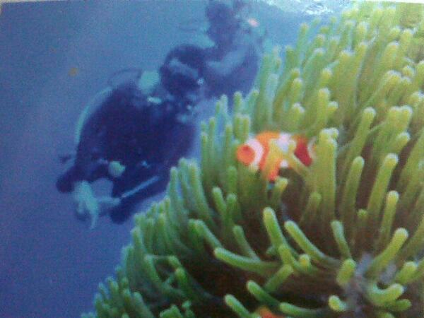 Andysmart8's tweet photo. http://t.co/zjYYHDRY4y
